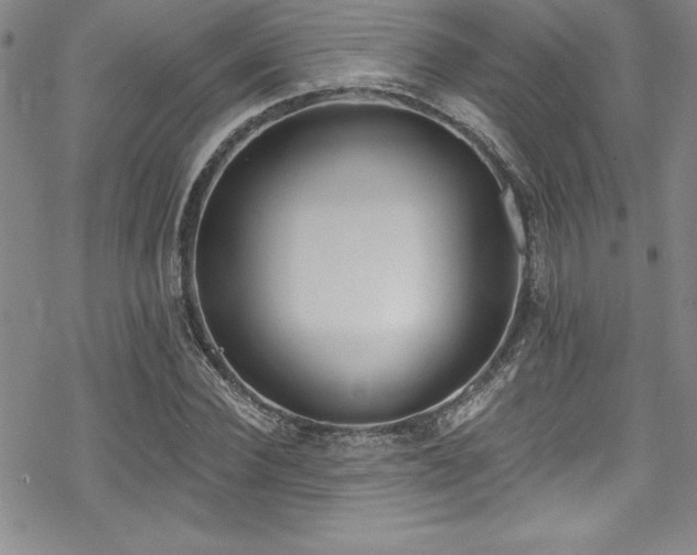 X0000069820924200605191107