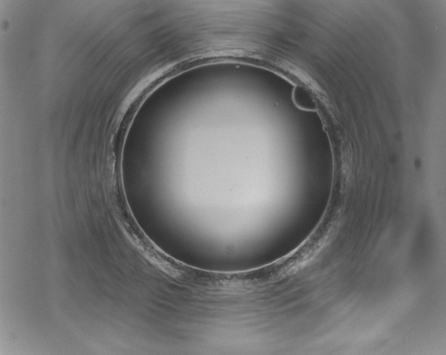 X0000069820933200605191107