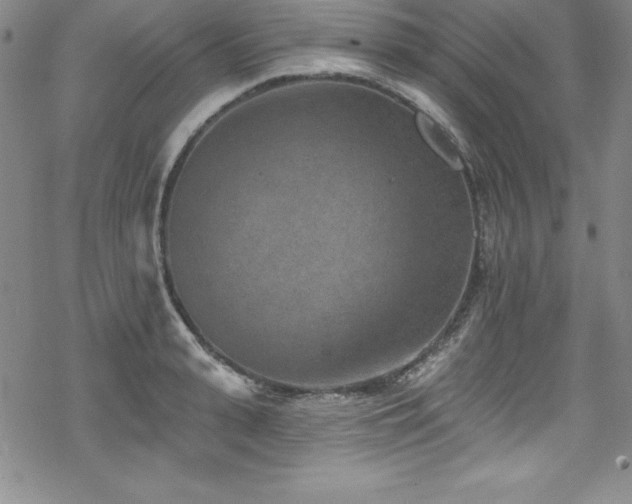 X0000069820943200605191107