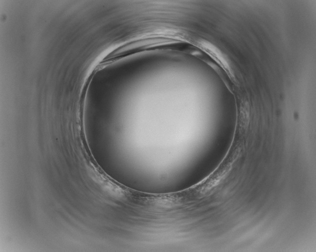 X0000069820948200605191107
