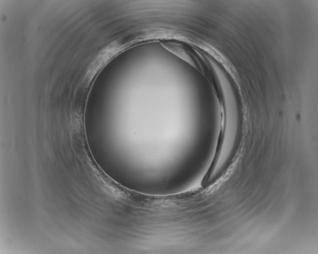 X0000069820993200605191106
