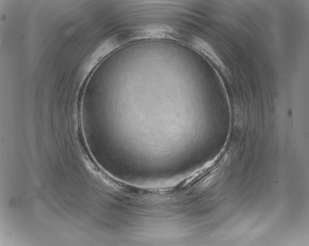 X0000069820994200605191106