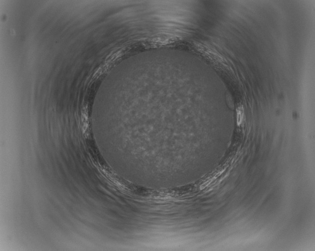 X0000069821011200605191105