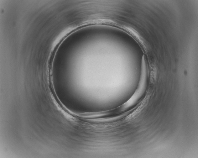 X0000069821046200605191106