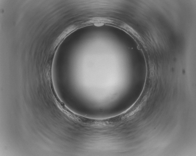 X0000069821049200605191106