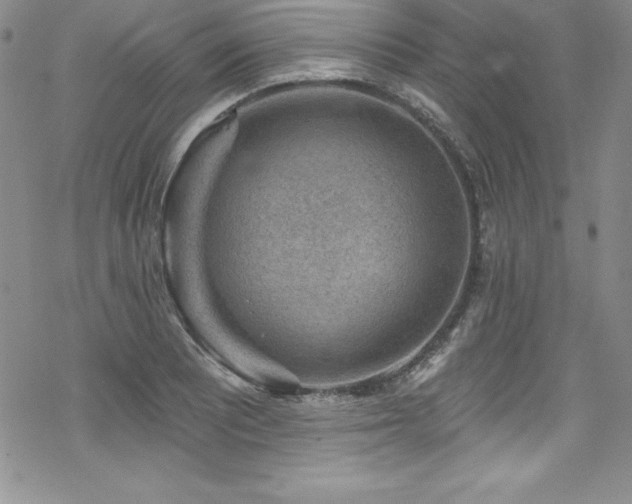 X0000069821081200605191105