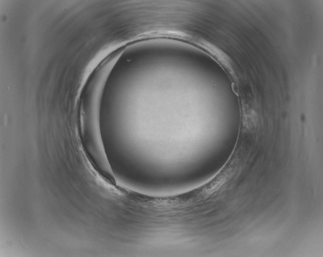 X0000069821102200605191104