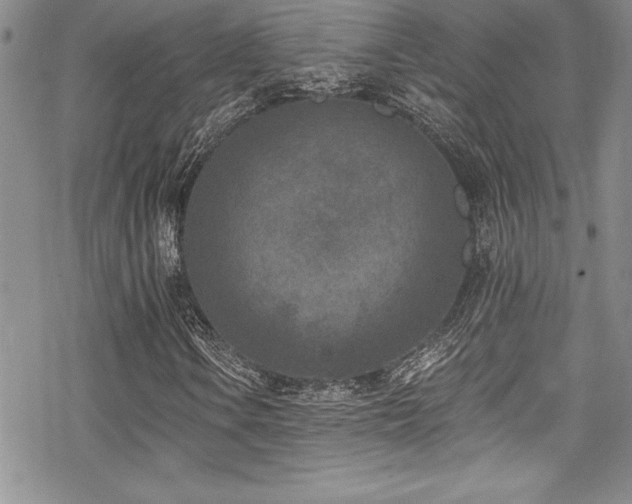 X0000069821106200605191103