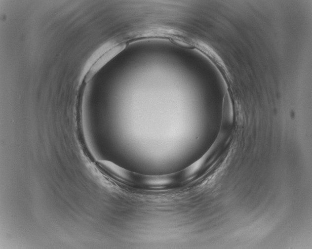 X0000069821138200605191104