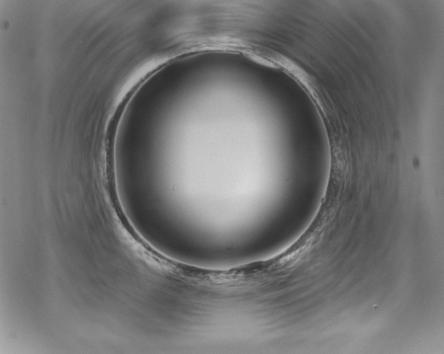 X0000069821147200605191104