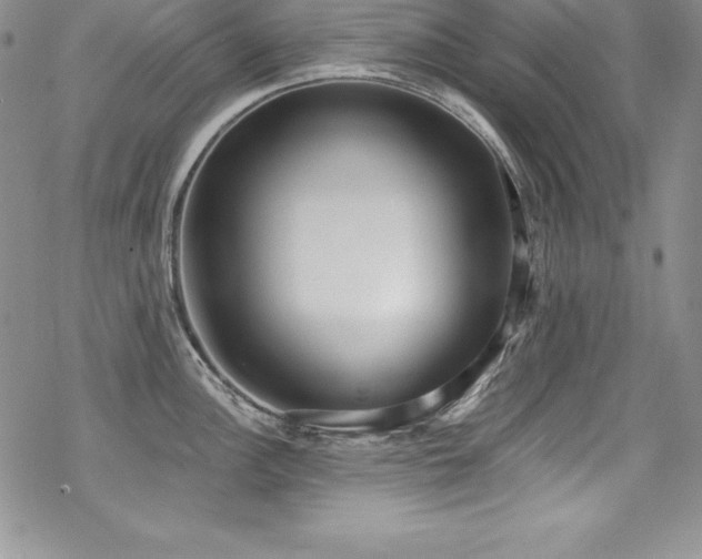 X0000069821148200605191104
