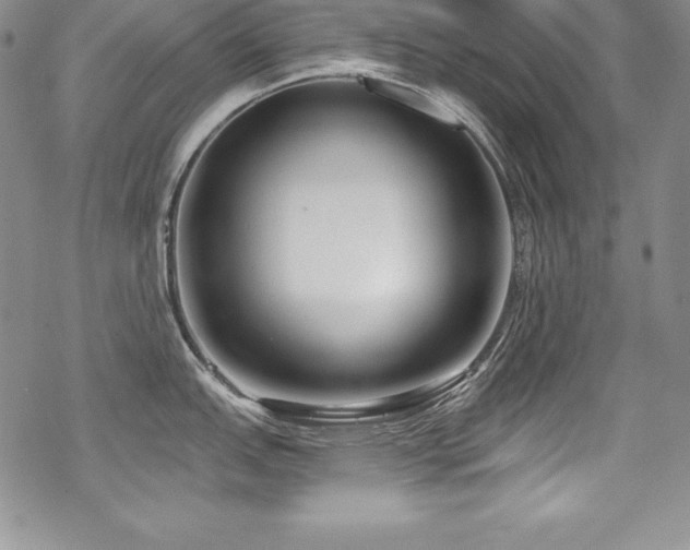 X0000069821151200605191104