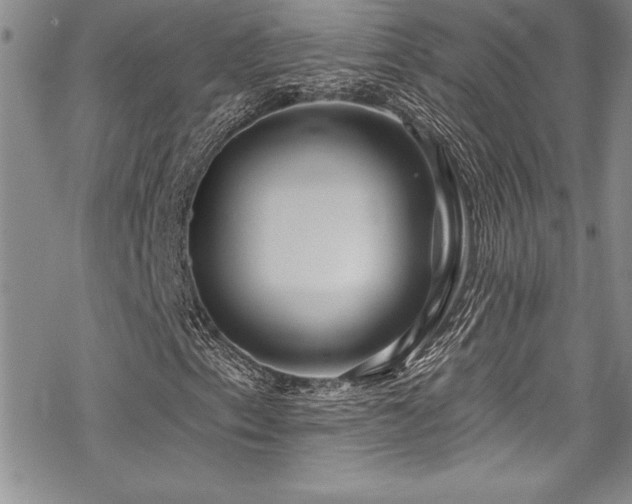 X0000069821153200605191103