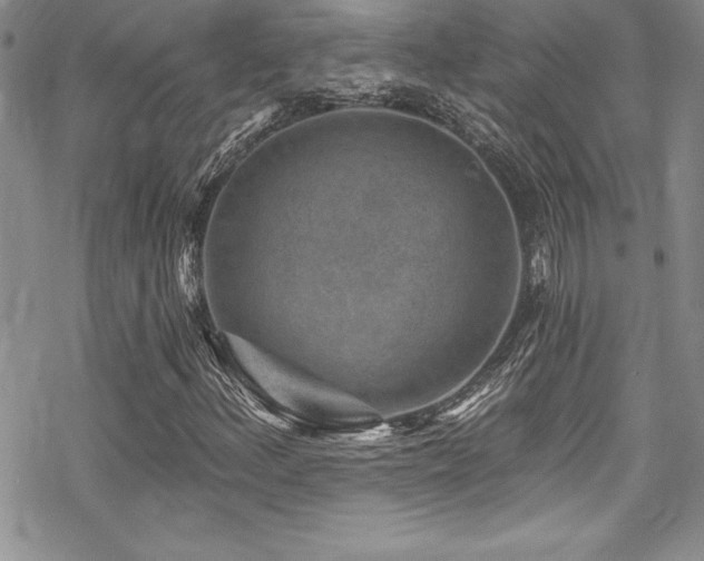 X0000069821156200605191103