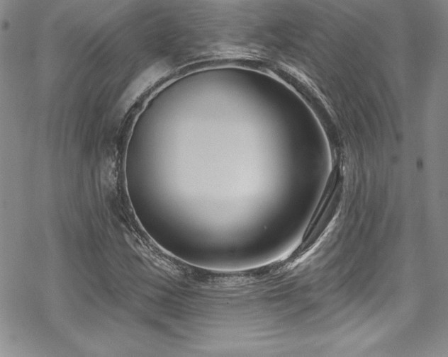X0000069821163200605191103