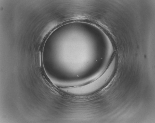X0000069821171200605191103