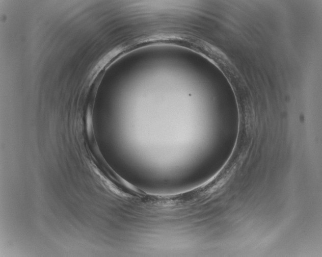 X0000069821177200605191103