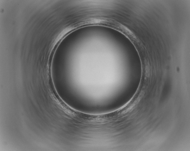 X0000069821178200605191103