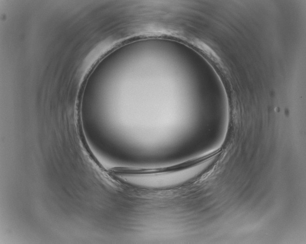 X0000069821183200605191103