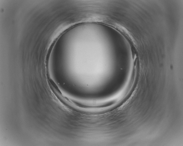 X0000069821184200605191103