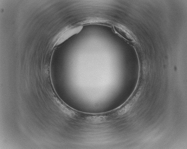 X0000069821185200605191103