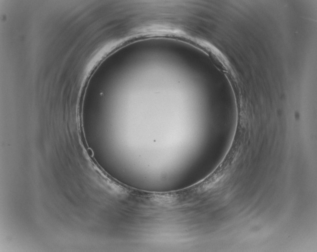 X0000069821191200605191103