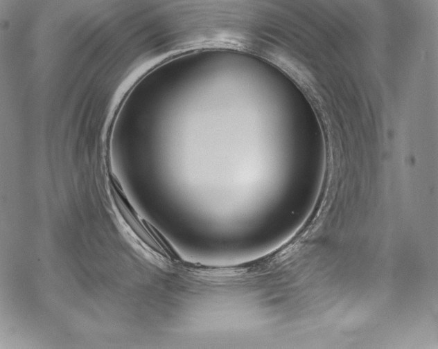 X0000069821200200605191103