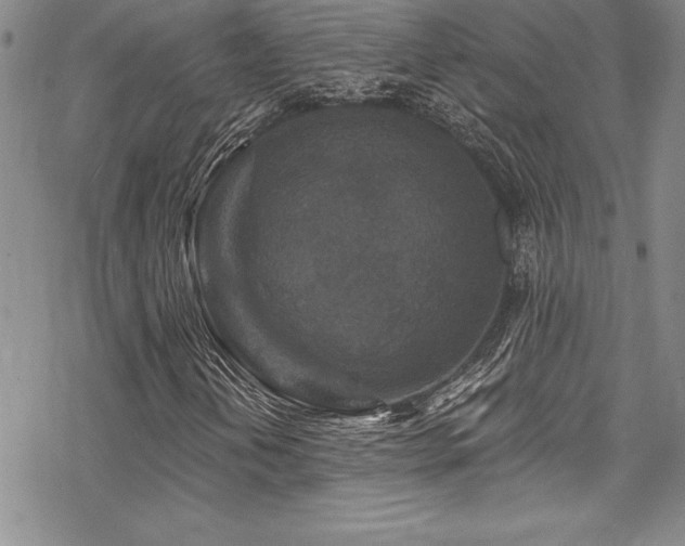 X0000069821202200605191102