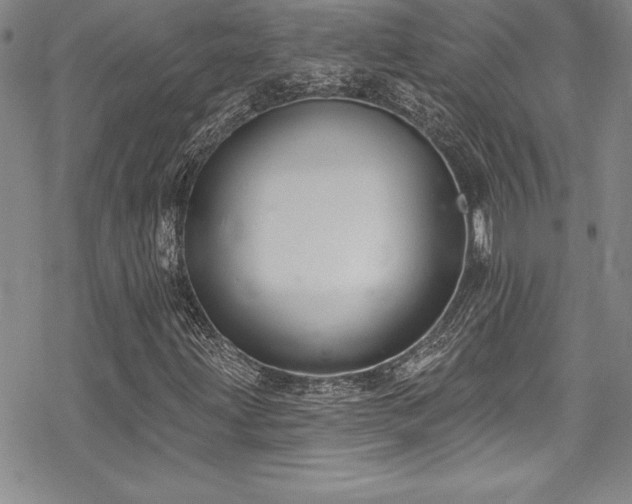 X0000069821203200605191102