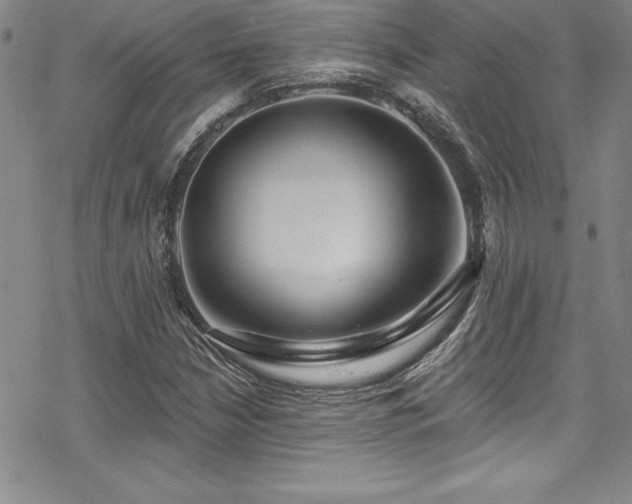 X0000069821210200605191102