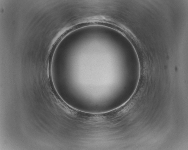 X0000069821224200605191102