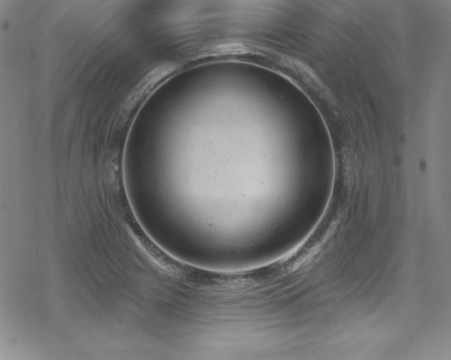 X0000069821225200605191102