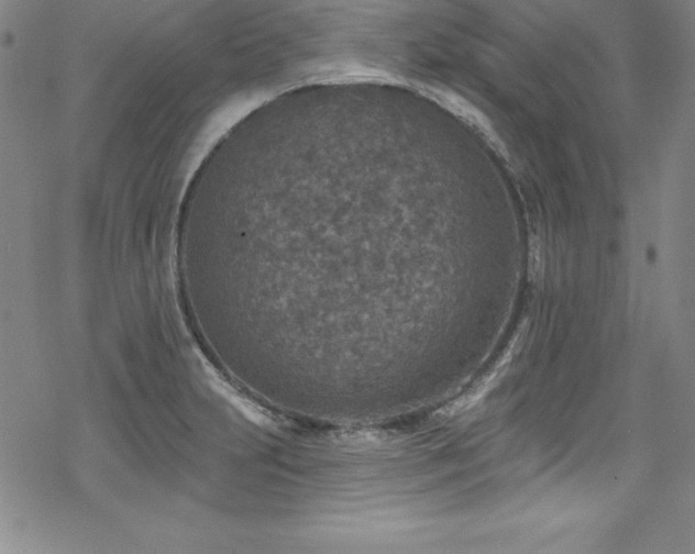 X0000069821231200605191102