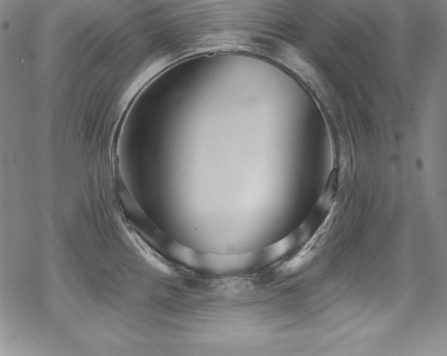 X0000069821242200605191103