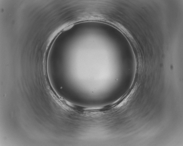 X0000069821246200605191103