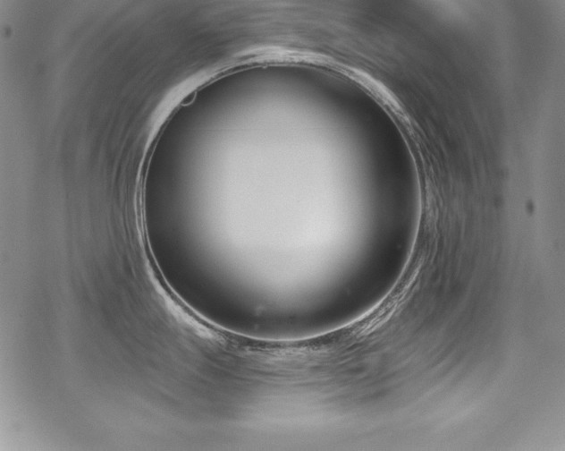 X0000069821247200605191103