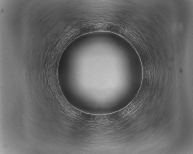 X0000069821249200605191102