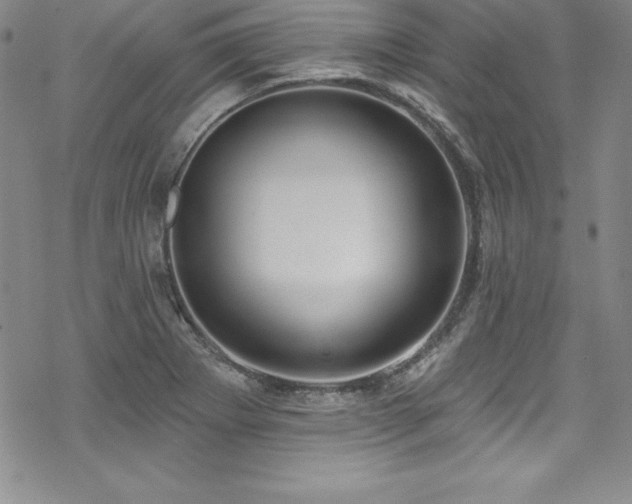X0000069821273200605191101