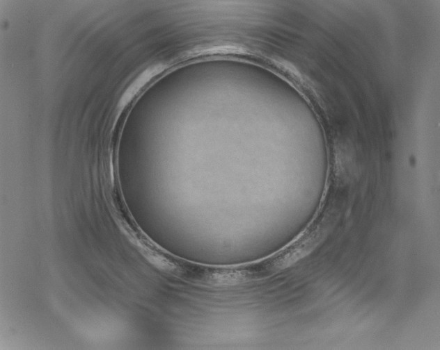 X0000069821274200605191101