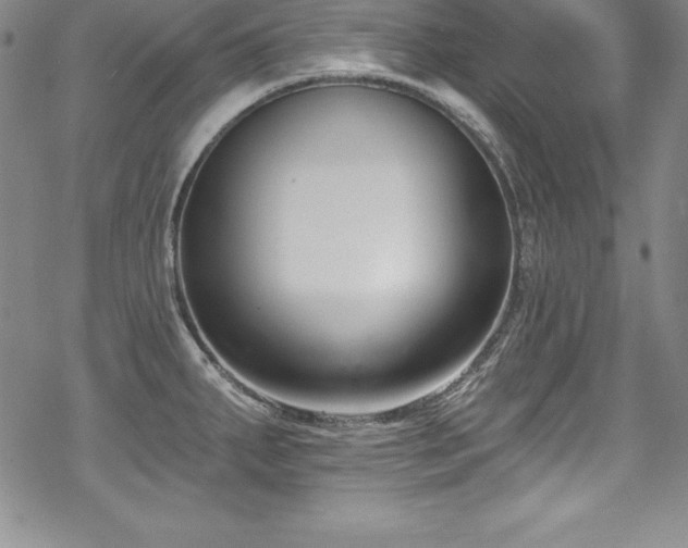 X0000069821287200605191101