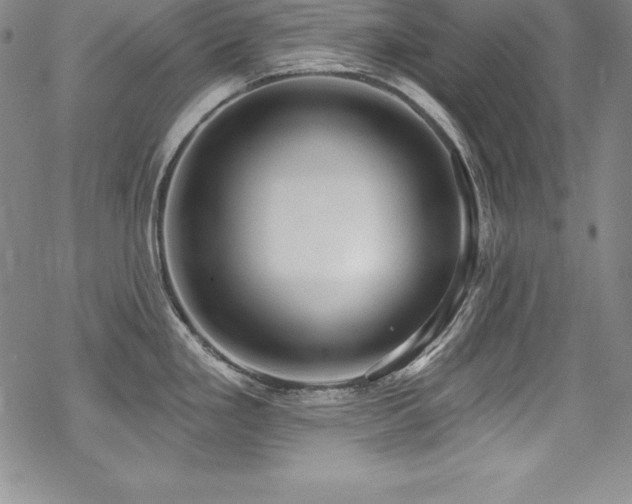 X0000069821293200605191101