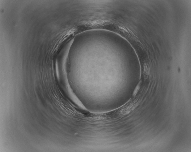 X0000069821300200605191100