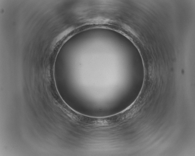 X0000069821315200605191101
