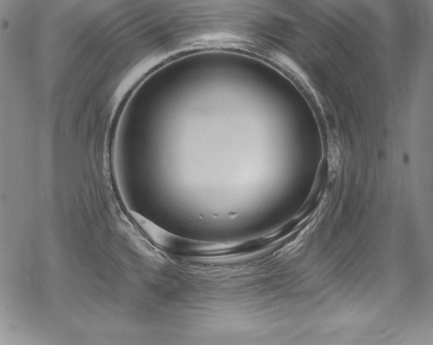 X0000069821336200605191101