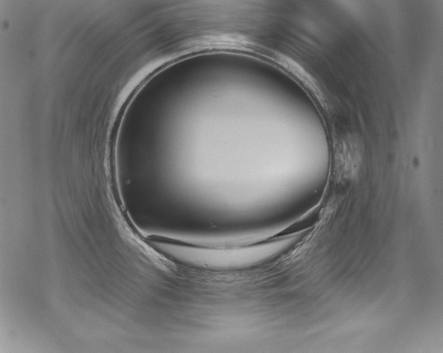 X0000069821339200605191101