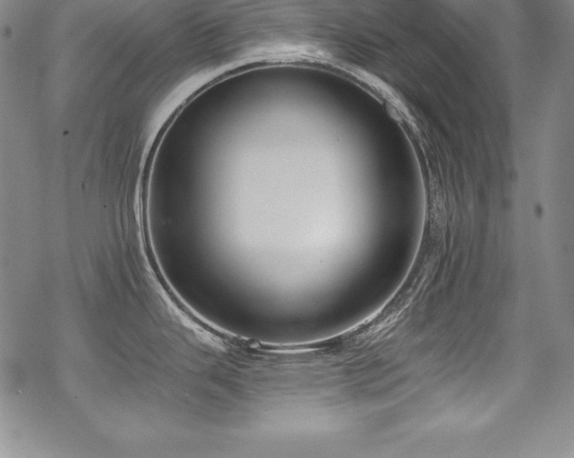 X0000069821343200605191101