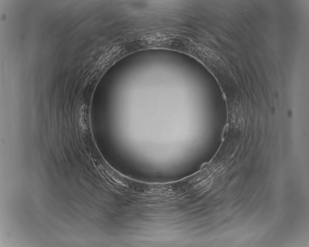 X0000069821346200605191100