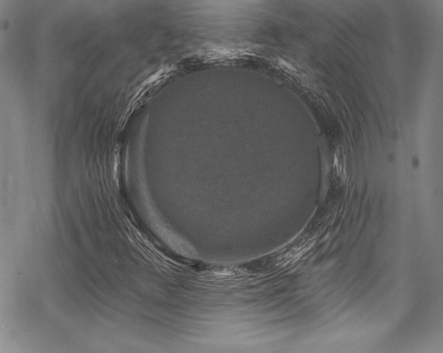 X0000069821348200605191100