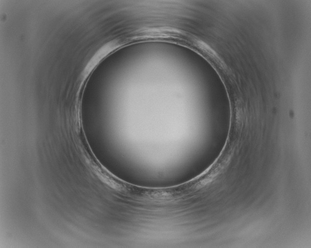 X0000069821370200605191100