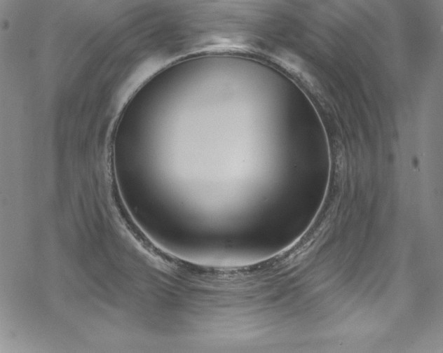 X0000069821375200605191100